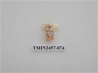 藏品(二斑叉紋苔蛾)的圖片